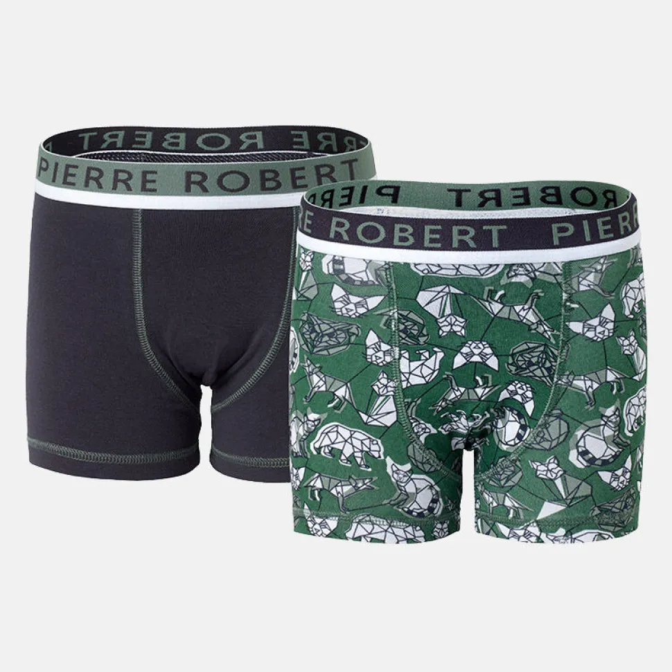 kalsonger_i_ekologisk_bom_0-1.webp Store Kalsonger I Ekologisk Bomull Barn X2 Barn Underkläder