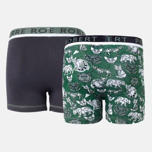 Store Kalsonger I Ekologisk Bomull Barn X2 Barn Underkläder